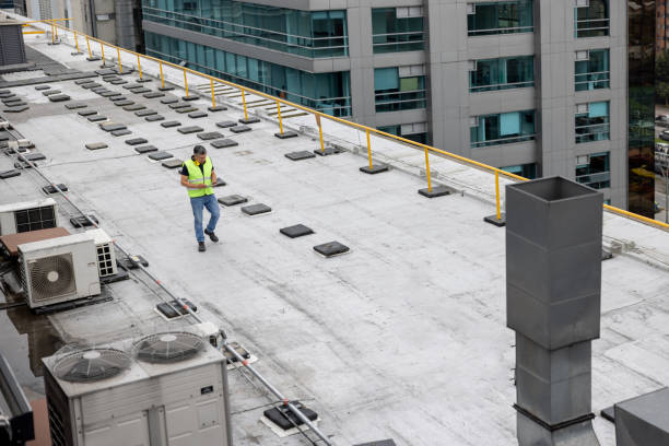 Professional Roofing Services in Louisiana, MO
